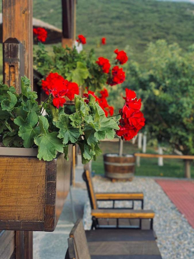 Vila Λωτοσ Kavala Exteriér fotografie